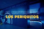 ¿Por qué a los aficionados del Espanyol se les llama 'periquitos'? El misterio ya tiene solución