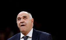 Pablo Laso: «He visto a jugadores sacar jeringuillas de sangre de la rodilla para poder jugar»