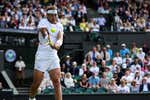 Cuántos Wimbledon tiene Rafa Nadal