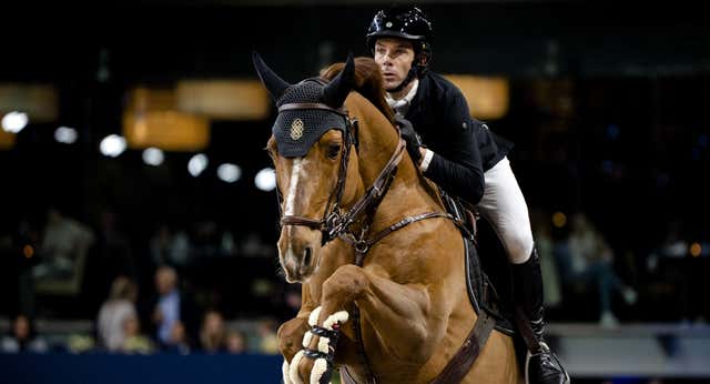 Mónaco, Arabia y los emiratos arrebatan los caballos olímpicos a España: «Son ofertas irrechazables»