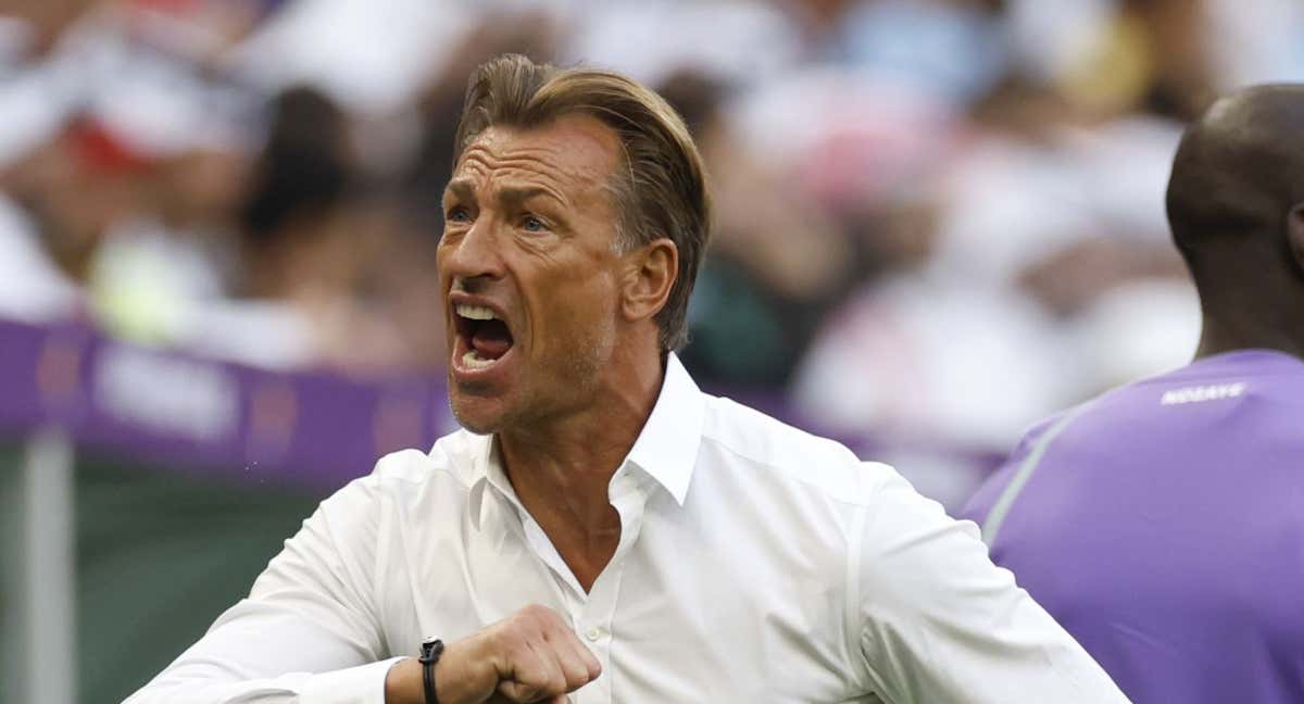 Herve Renard, en un partido con Arabia Saudí. /EFE