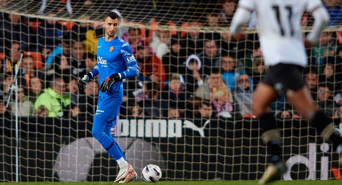 Greif en Mestalla. /Mallorca.