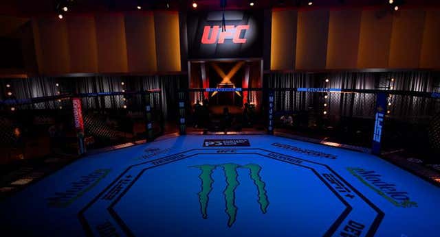 ¿Cuántos rankings hay en UFC?