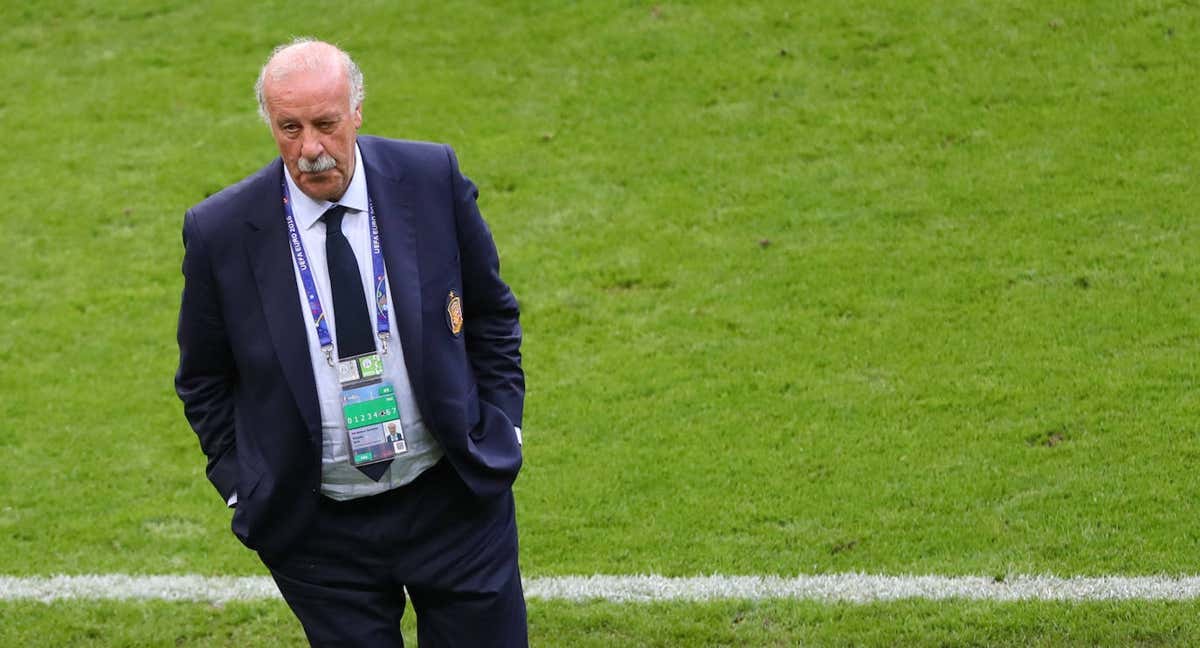 Vicente Del Bosque, en un partido con la Selección. /EP