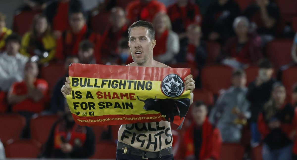Un espontáneo, en el partido entre Mallorca y Atlético.
