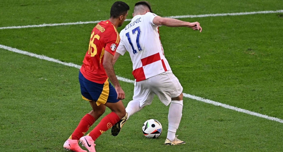 Petkovic, en el partido ante España.