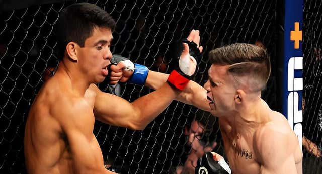 Dani Bárez vuelve a UFC tras 14 meses sin poder competir: «Ahora disfruto cada proceso»