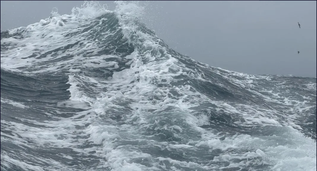 Igualdad brutal en la Vendée Globe a altura del Punto Nemo