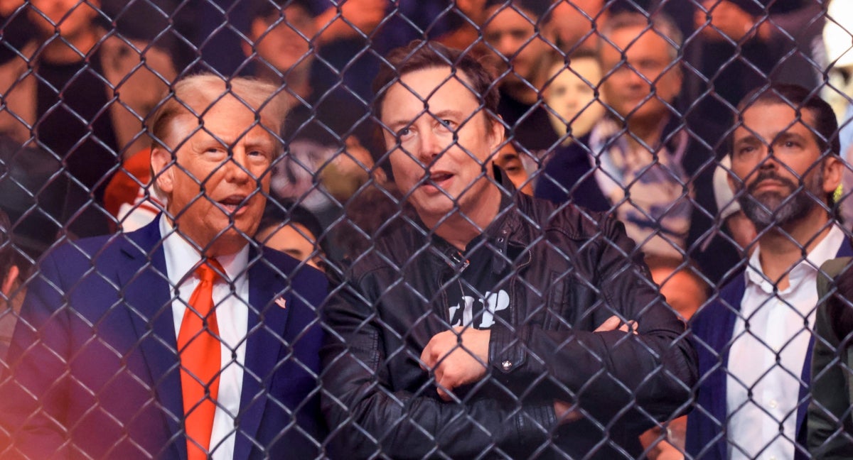 Elon Musk, en un evento de la UFC.