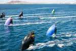 El millonario impacto de la vela olímpica en Lanzarote