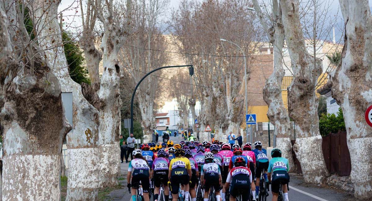 El pelotón de la reciente Clásica de Almería femenina, al paso por Berja. /FRAN REYES