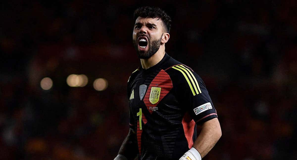 David Raya, en un partido reciente con la Selección.